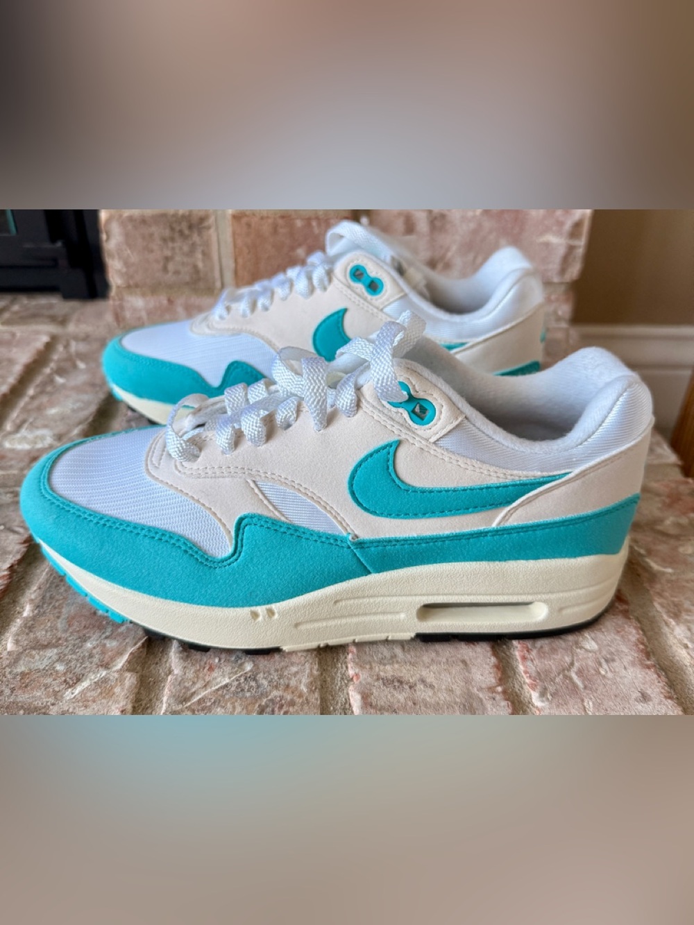 Nike Air Max 1 "Dusty Cactus" sneakers - Women’s 7